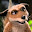 AMLnZu9pGpFz8K_62wBNA4LnLMPFfMdc1iu0R3-vShNwMA=s32-c-k-c0x00ffffff-no-rj
