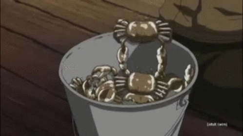 Crabs Bucket GIF - Crabs Bucket Crabsinabucket - Discover & Share GIFs