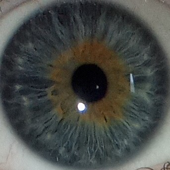 IMG 20251128 143823899 HDR