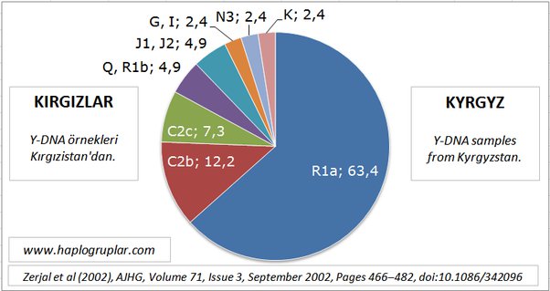 main-qimg-722431b4851e10323d527d981fc3cbc3-pjlq