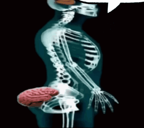 ZZjZlw8KhTvWzcrUwCo.gif