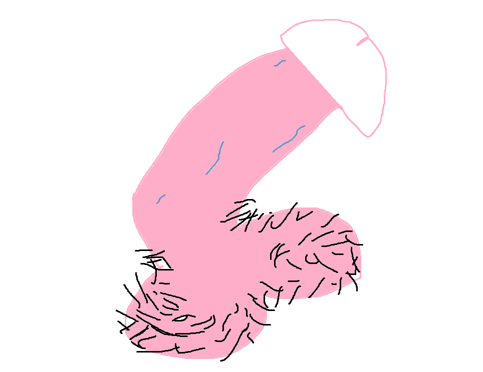 4924933_1746402819580.png