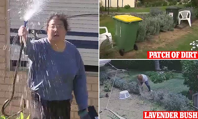 www.dailymail.co.uk