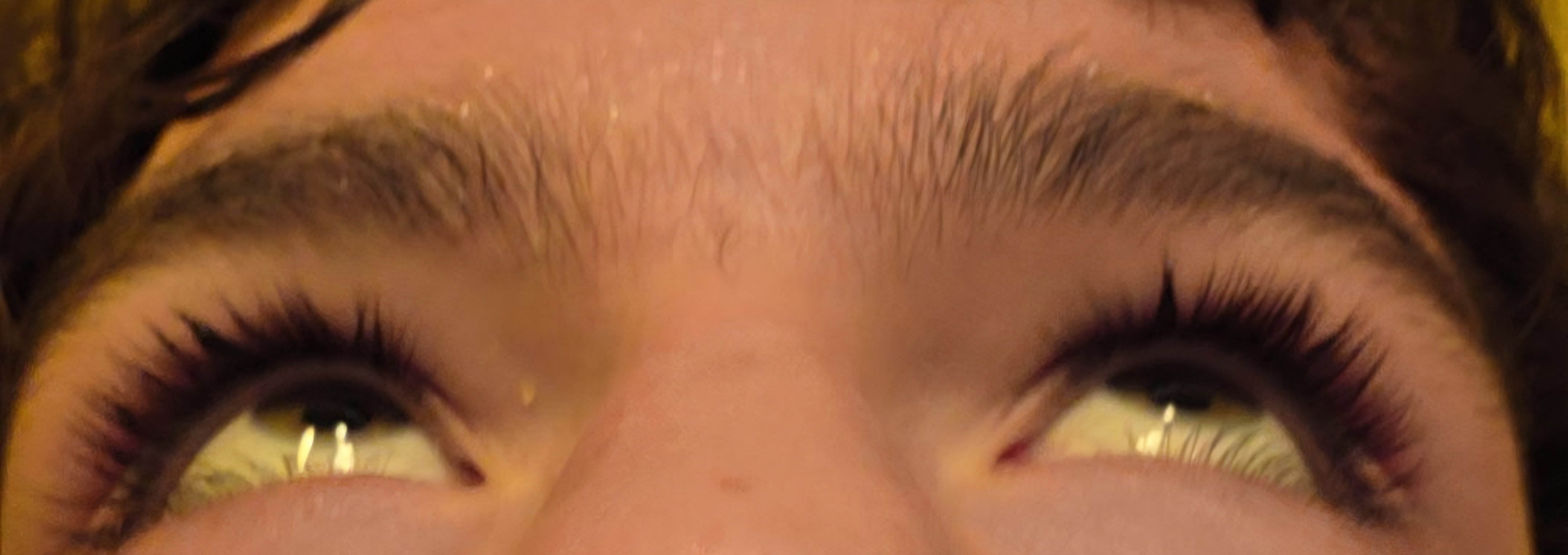 6560913_26913.jpg