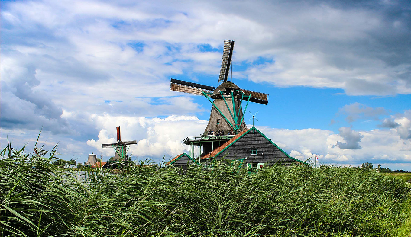 68986_fullimage_windmill.jpg