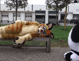 furrie i sit on you GIF by beeeky