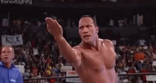 the-rock-come-at-me-bro.gif