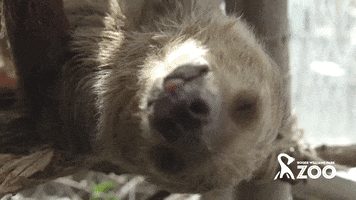 200.gif