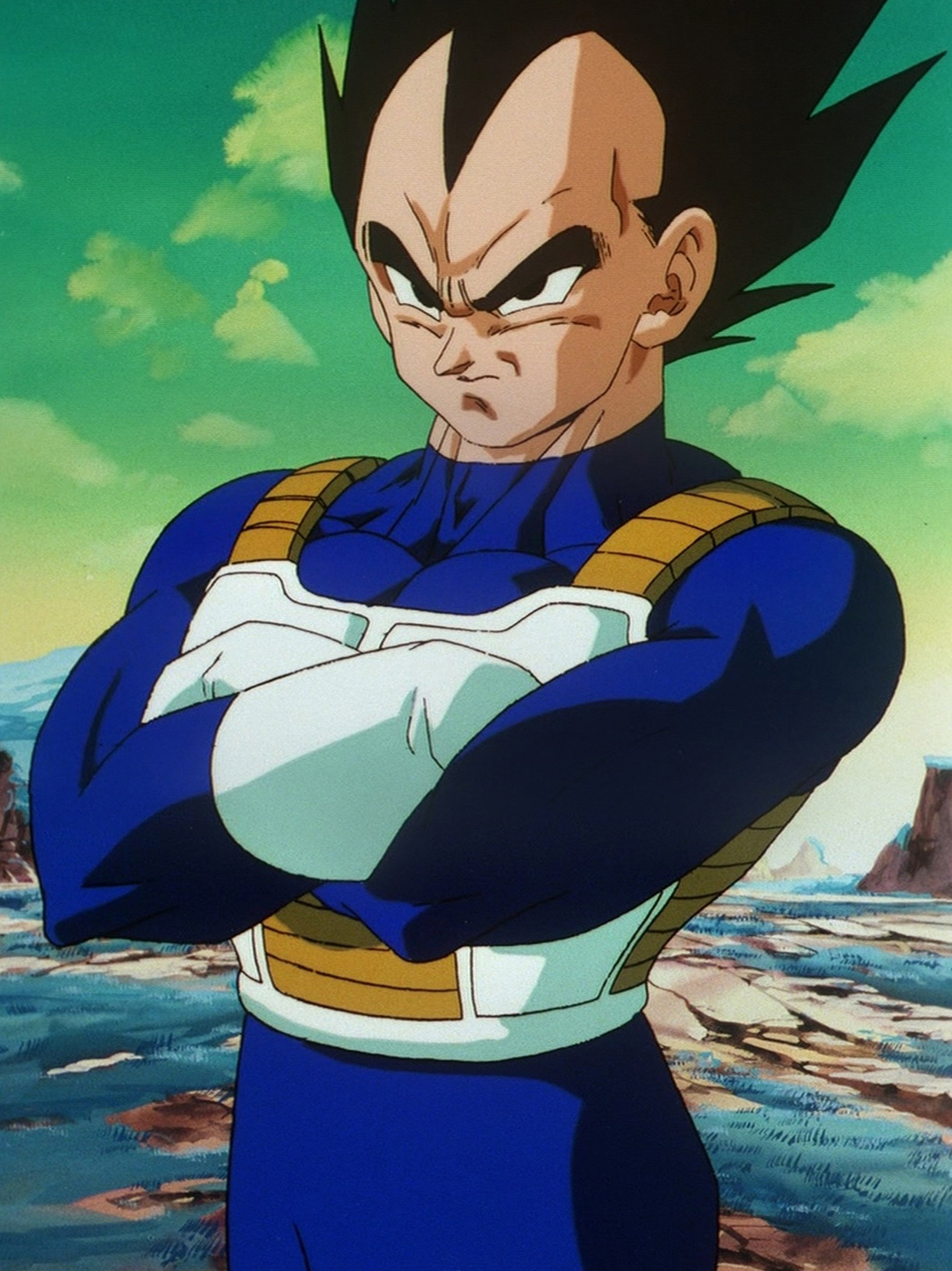 vegeta.jpg