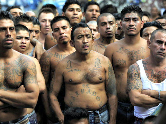 MS-13-Gang-Members-Getty-640x480.png