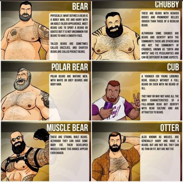 an-explanation-of-the-different-types-of-bears-you-can-find-v0-egzq93ae9oy91.jpg