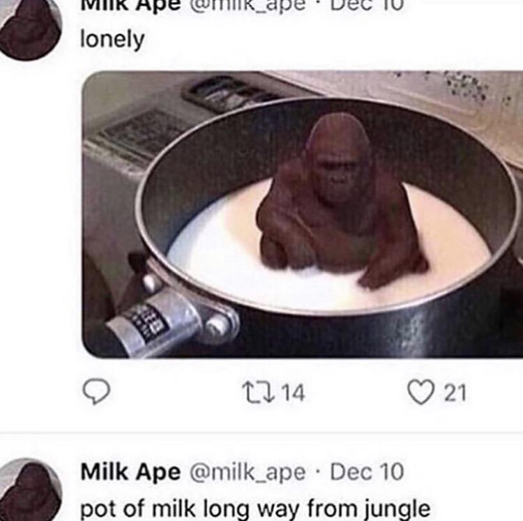 n4mzwm6emij31.jpg