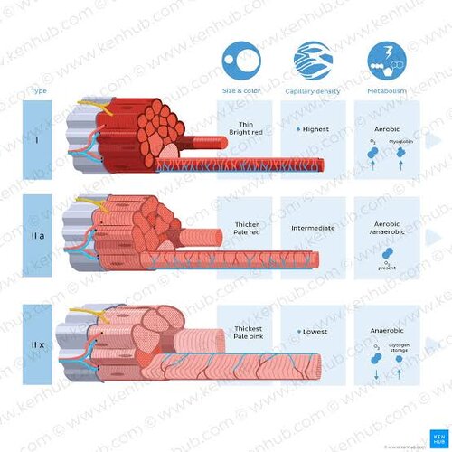 Images 3
