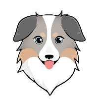 coinmarketcap.com