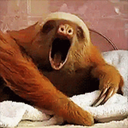 3329037_9F6C2636-878F-49F5-858B-2F2B98EDF28F.gif