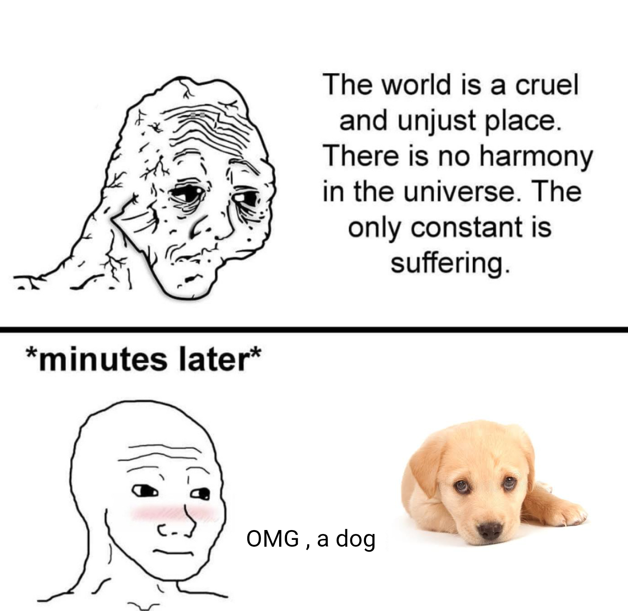 e9a.jpg