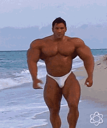muscle-morph.gif