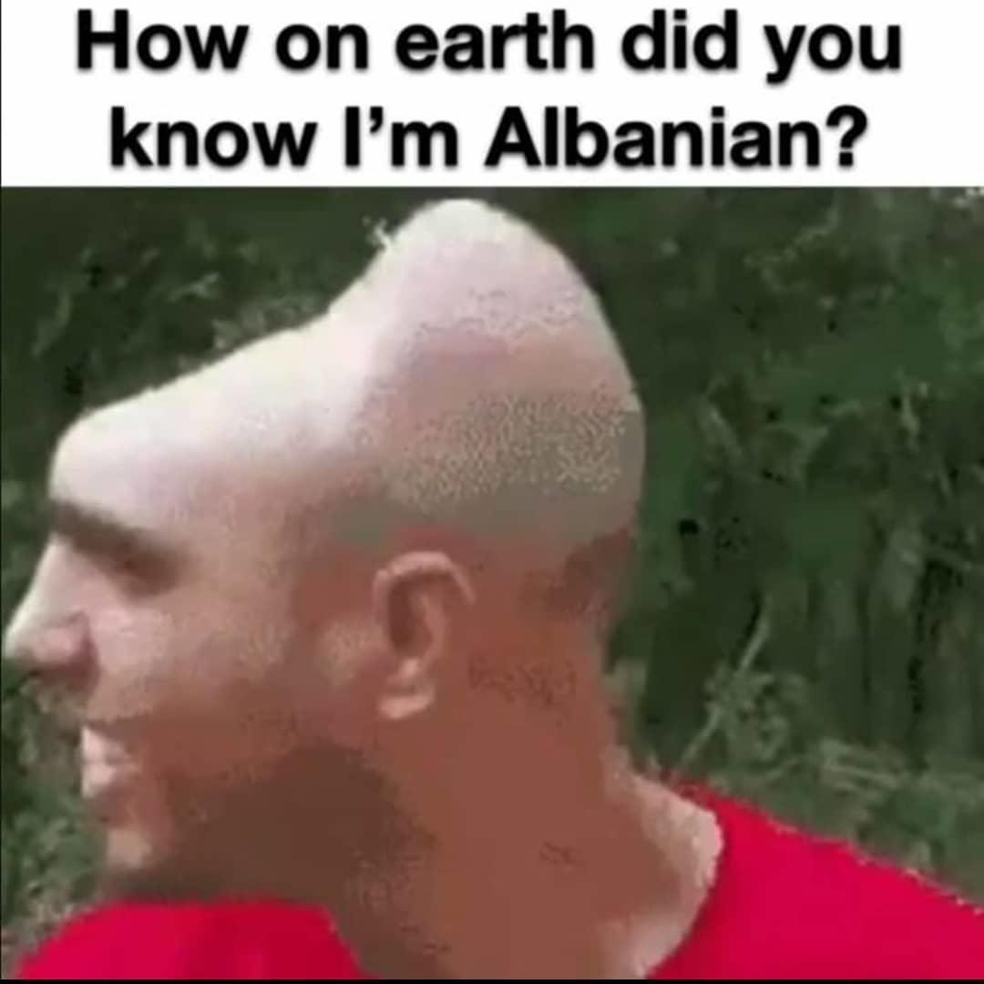 Average Albanian brain head | /r/2balkan4you/top/ | Balkan Memes | Know  Your Meme