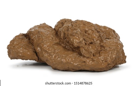 dog-poop-isolated-on-white-260nw-1514878625.jpg