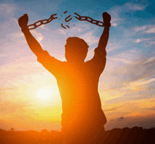 4964143_IMG_0208.gif