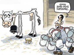 milking the cow Meme Generator