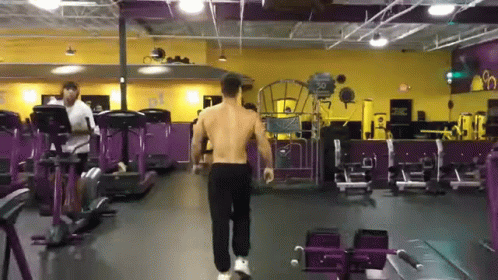 Fitness Connor Murphy GIF - Fitness Connor Murphy Gym - Descubre & Comparte  GIFs