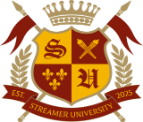 streameruniversity.com