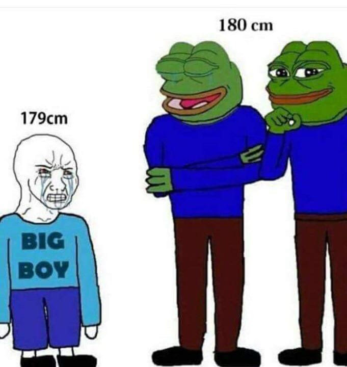 5d91c102bc941.jpeg