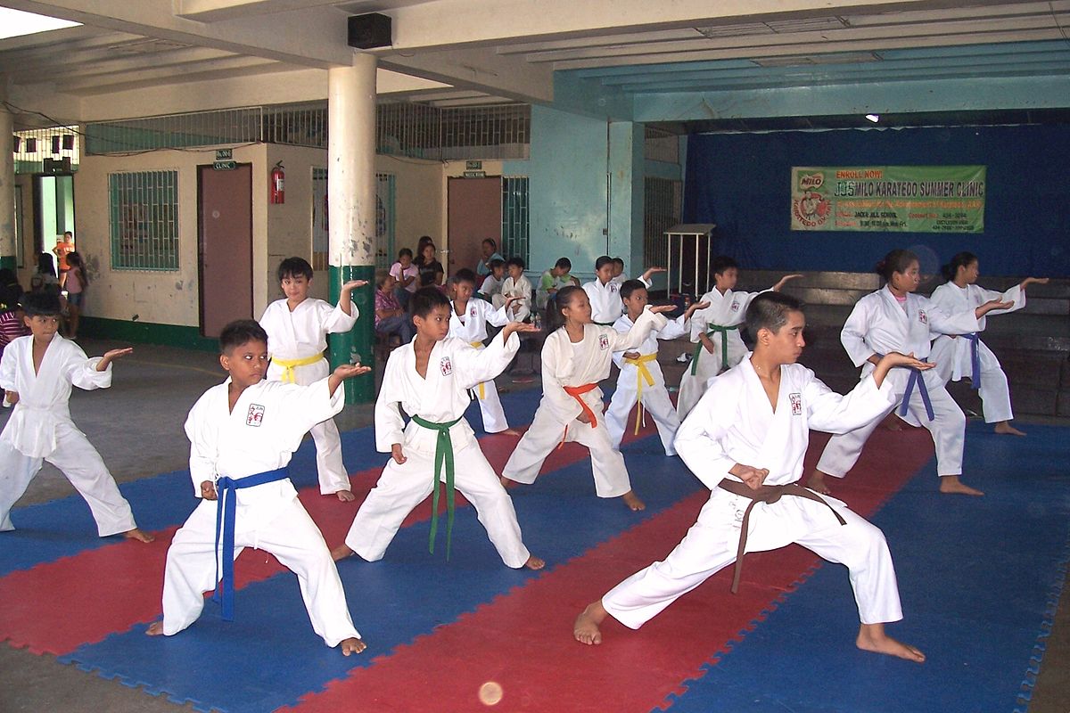 1200px-JJS_Dojo.jpg