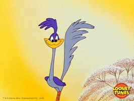 wile e. coyote no GIF by Looney Tunes
