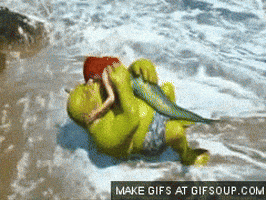 vs ariel GIF