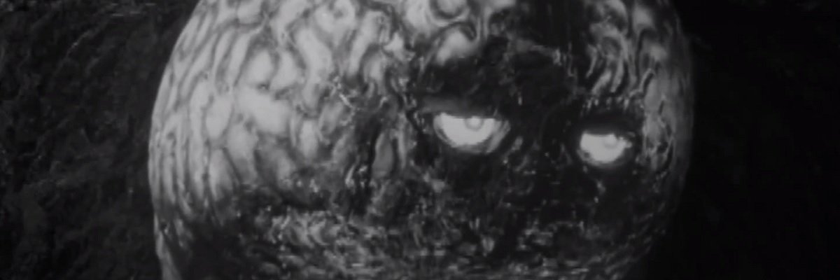 www.muckrock.com