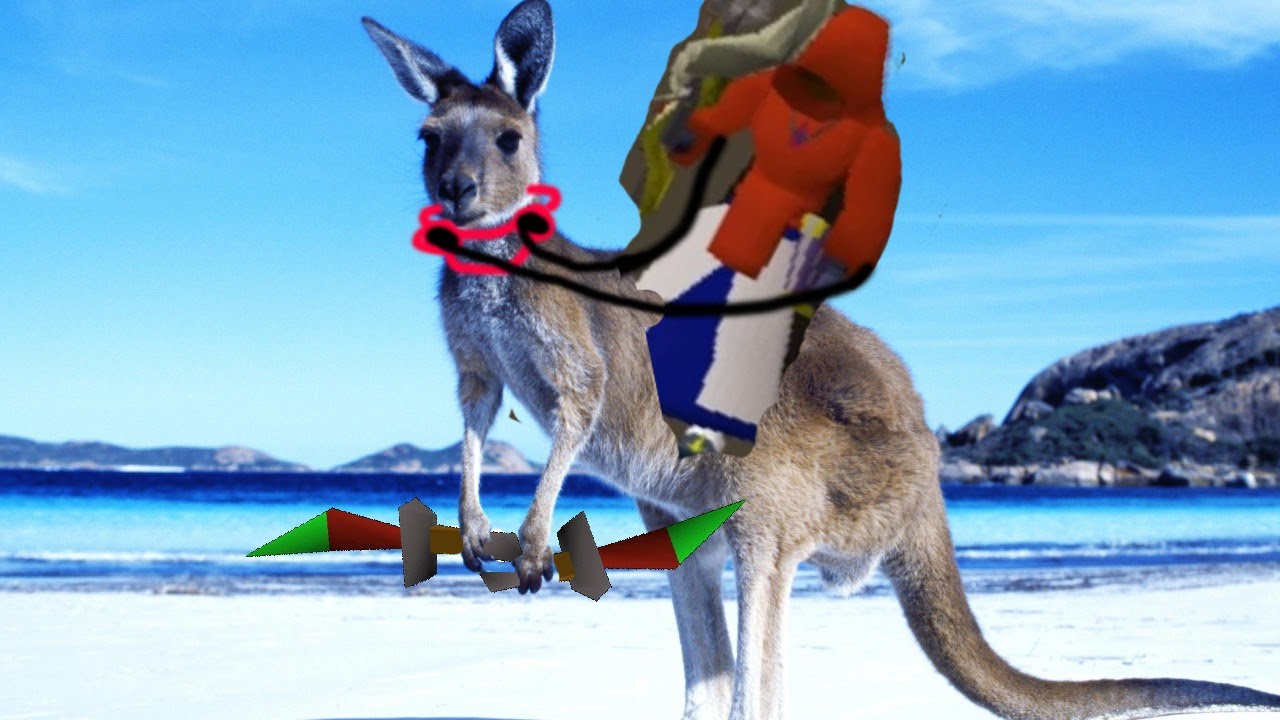maxresdefault.jpg