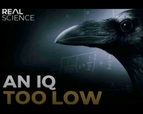 An Iq Too Low Meme - An iq too low - Discover & Share GIFs