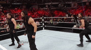 seth rollins wrestling GIF by WWE