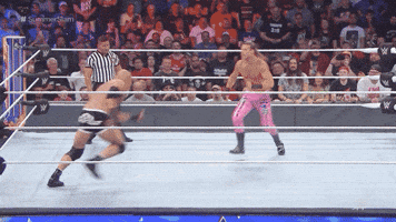 Dolph Ziggler Reaction GIF by WWE