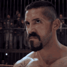 Boyka GIFs | Tenor