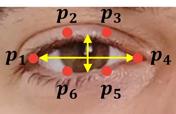011 How to detect eye blinking in videos using dlib and OpenCV in Python