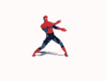 tenor.gif