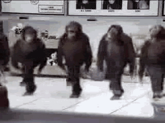 a group of monkeys are walking in a line on a sidewalk .