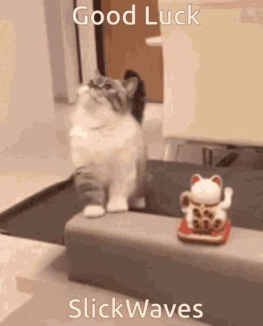 luck-good.gif