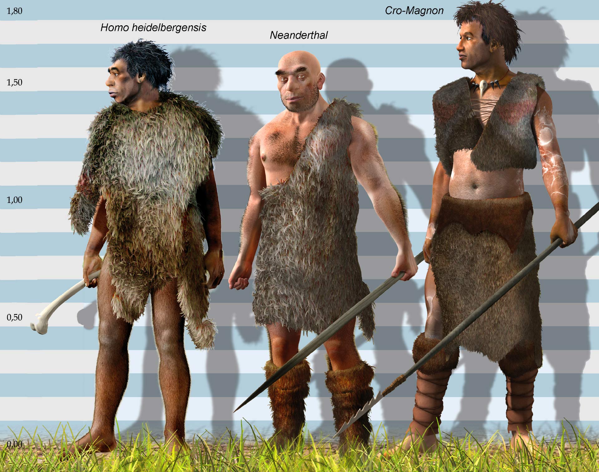 image_5897e-Homo-heidelbergensis.jpg