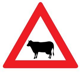 main-qimg-dac1dca4e1aeca2fb517bf9e5bd9e9a3