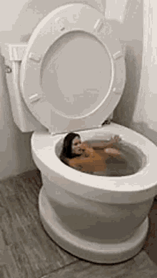 toilet.gif