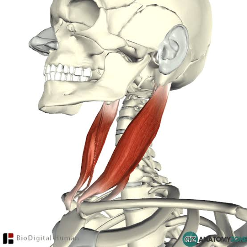 1764492361032