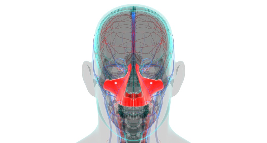 biologydictionary.net