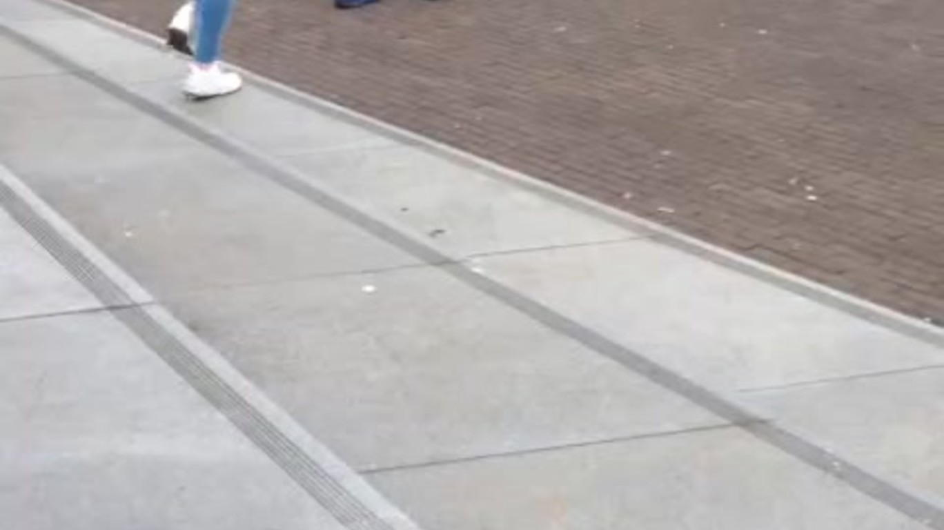 www.dumpert.nl