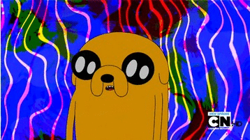 tumblr_n6dpes6o6X1tchubjo1_400.gif