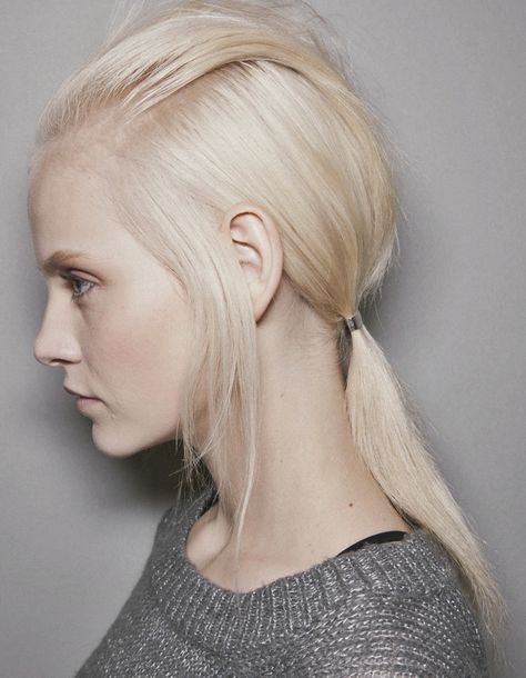 5ccf755034a577afd34bccb07c75cfc3--ginta-lapina-hair-flip.jpg