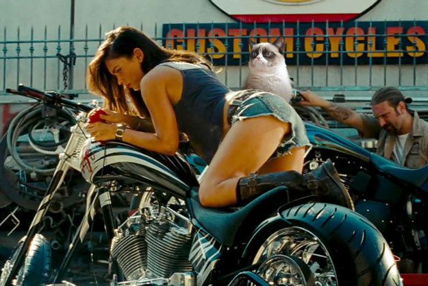 Transformers: Revenge of the Fallen (2009) | Megan fox hot, Megan fox  transformers, Megan fox